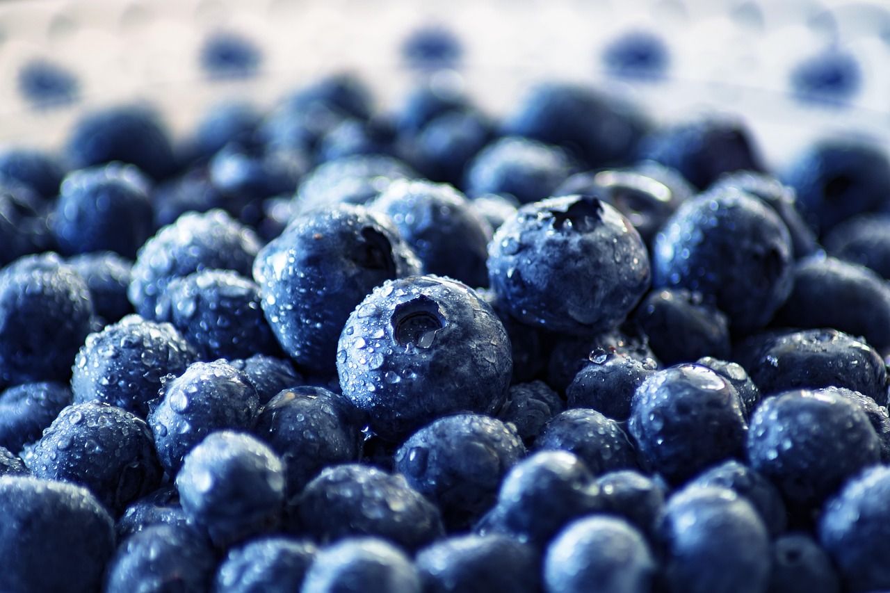 blueberries-3460423-1280-jpg-1755429093.jpg
