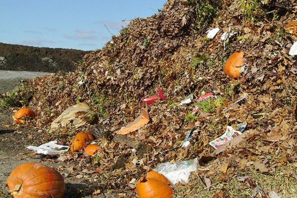 Situaţie îngrijorătoare: În câteva zile, Ploieştiul are interzis la rampa de gunoi!