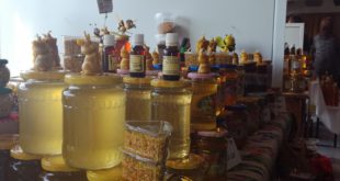 Video-De astăzi sunteţi invitaţi la T&acirc;rgul Mierii de la C&acirc;mpina!