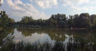 De ce să nu mergi la Parcul Bucov? Reportajul ploieşteanului dezamăgit-Galerie foto