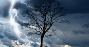 ISU Prahova sfătuieşte: Ce să faci dacă eşti surprins de o furtună sau tornadă?