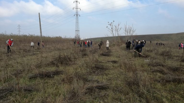 Hai mâine la împădurire pe fosta groapă de gunoi a Ploieştiului!