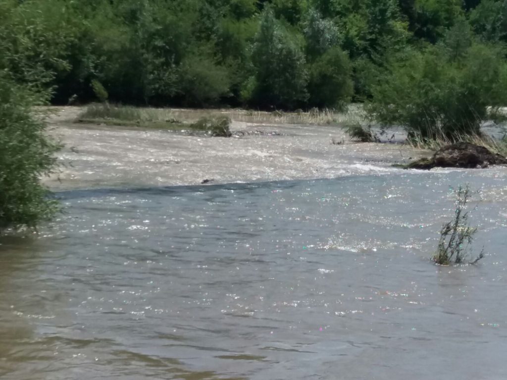 O persoană a fost găsită moartă într-o baltă de pe islazul din Berceni