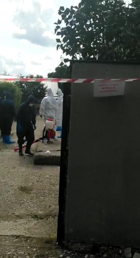 Prahova în alertă: 15 focare de pestă porcină africană și încă două suspiciuni