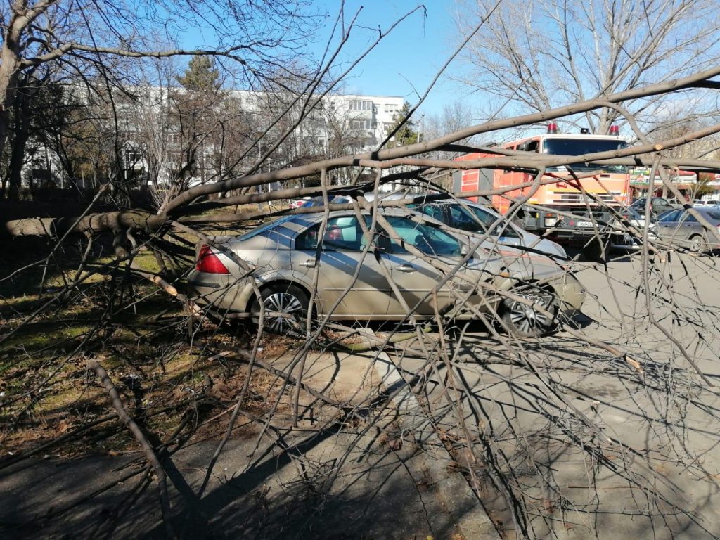 Cod de vânt puternic în Prahova: Copaci și stâlpi de electricitate căzuți pe stradă sau pe mașini
