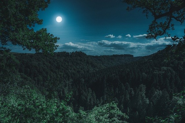 Şapte turişti s-au rătăcit în pădure la Valea Doftanei, noaptea. Află cum au fost salvaţi!