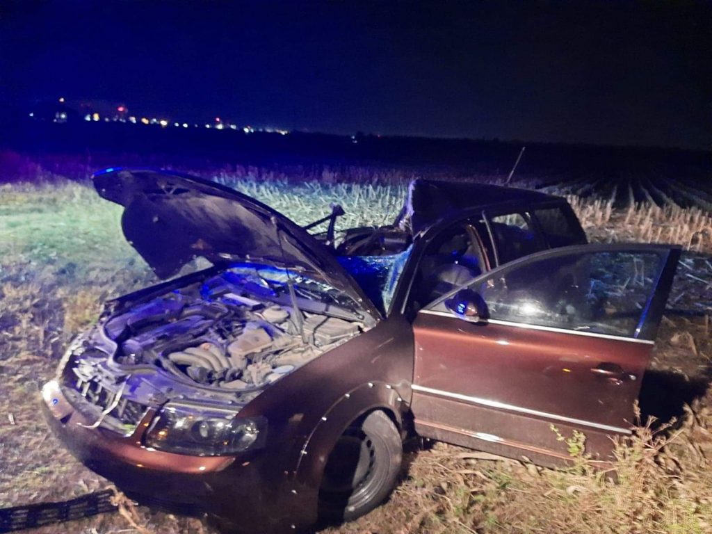 Imagini de la accidentul de aseară de la Pleasa. Un șofer a fost rănit, după ce a izbit cu masina un cal lăsat nesupravegheat