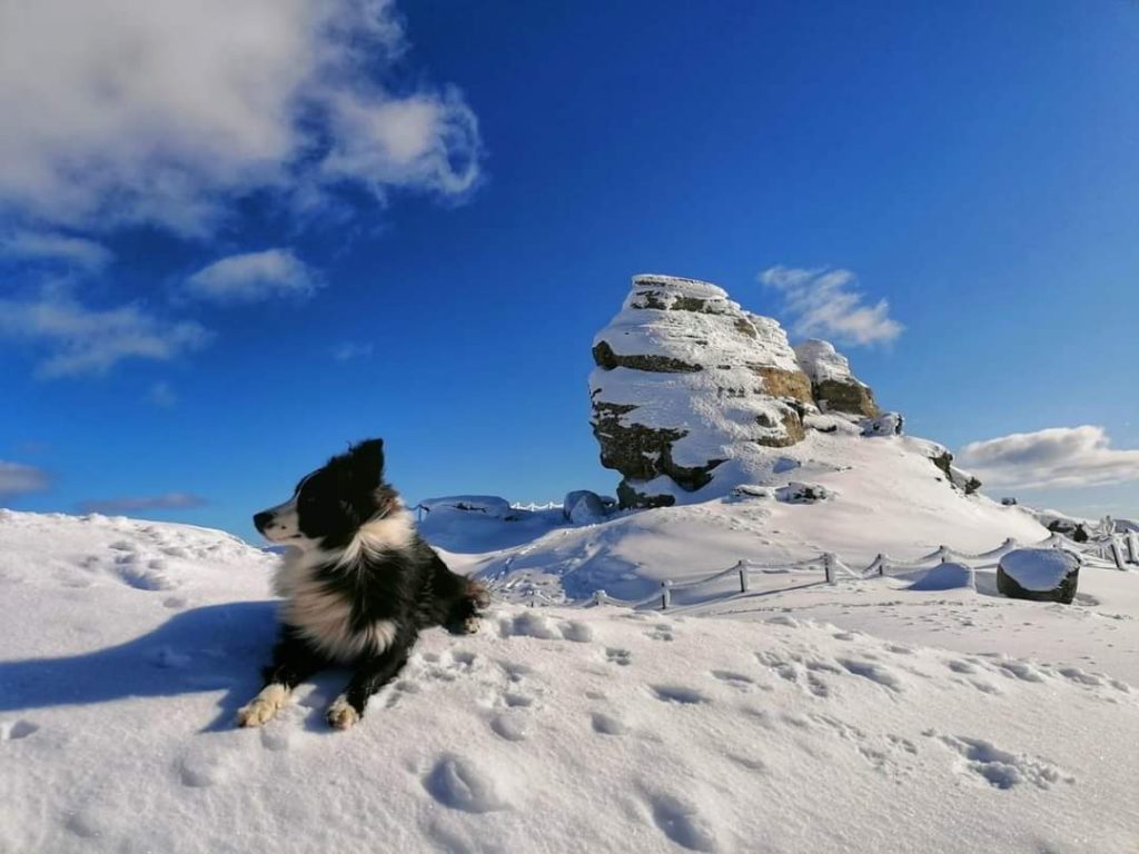 Risc mare de avalanșă grad 4 in Munții Bucegi, Baiului și Ciucas